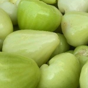 

Buah Jambu Air per 1 kilo
