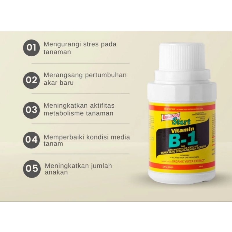 vitamin b1 untuk tanaman/pupuk tanaman