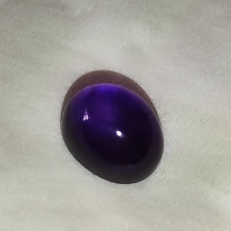 KECUBUNG UNGU KALIMANTAN, KECUBUNG UNGU TUA, KECUBUNG BENTOL, KECUBUNG ASIHAN