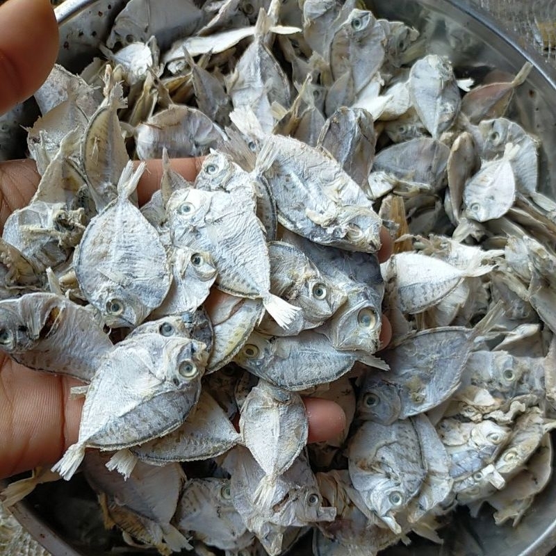 

Ikan Asin Dodok Pirik Petek/Empar Tinggi Kecil Murah Berat 250/500gram