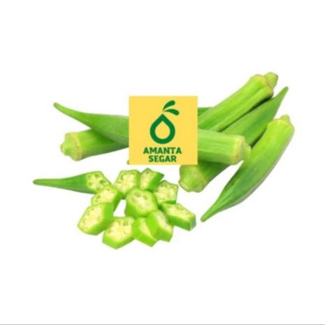 

Amanta Segar Bogor | Syuran Sayur Okra Hijau Segar Organik 250 gr Sayuran Bogor