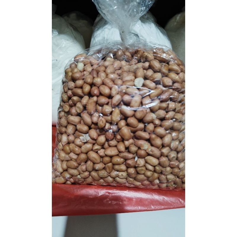 

kacang tuban 29.500/kg