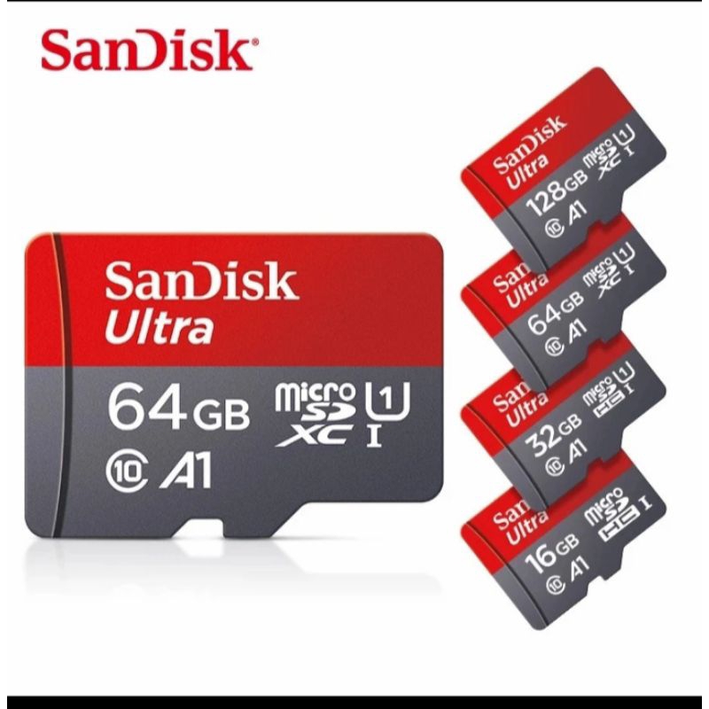 memory sandisk