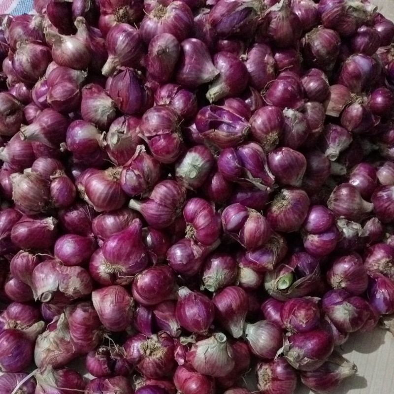 

Bawang merah asli Brebes
