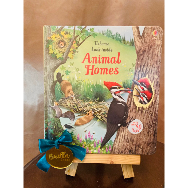 Usborne Look Inside: Animal Homes