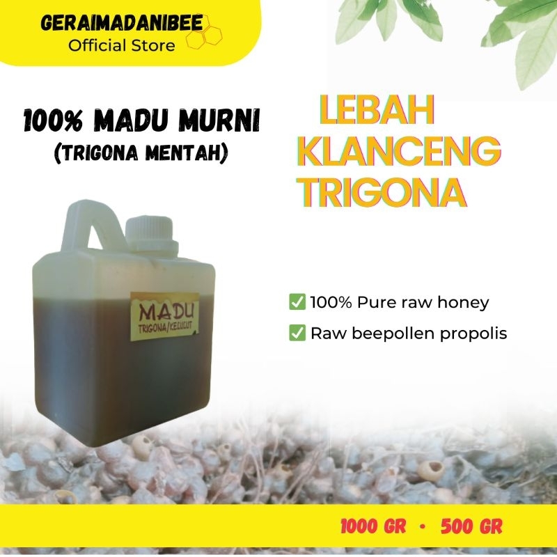 

Madu Trigona Kelulut ( 500 gram) 100% Asli Raw Honey