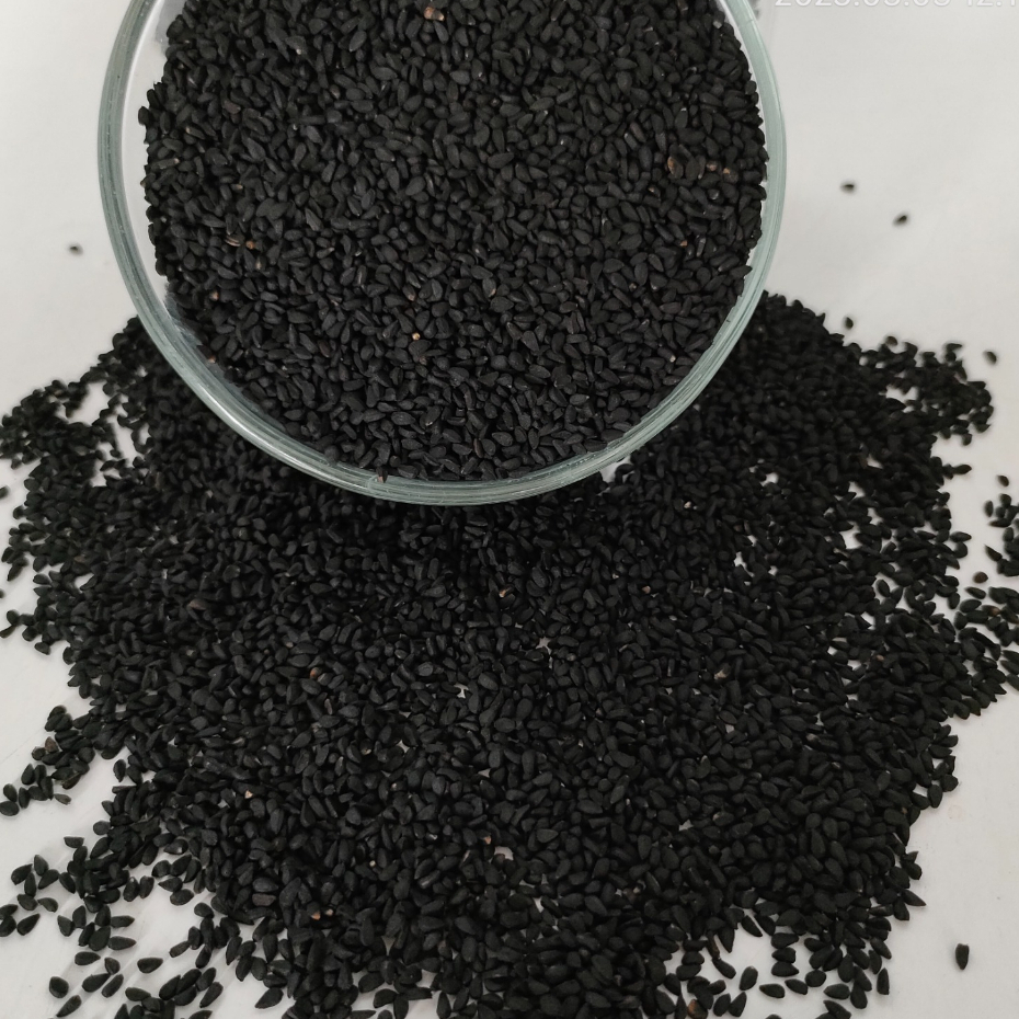 

JINTEN HITAM / HABBATUSSAUDA ORGANIK ALAMI