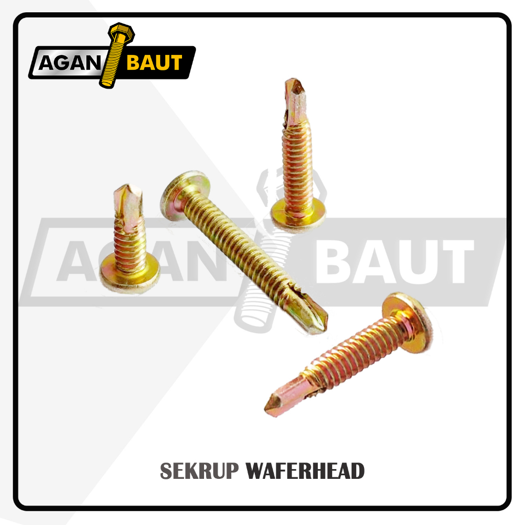 Sekrup /Skrup WAFERHEAD 10X45 (4.5 cm) SDS (+)