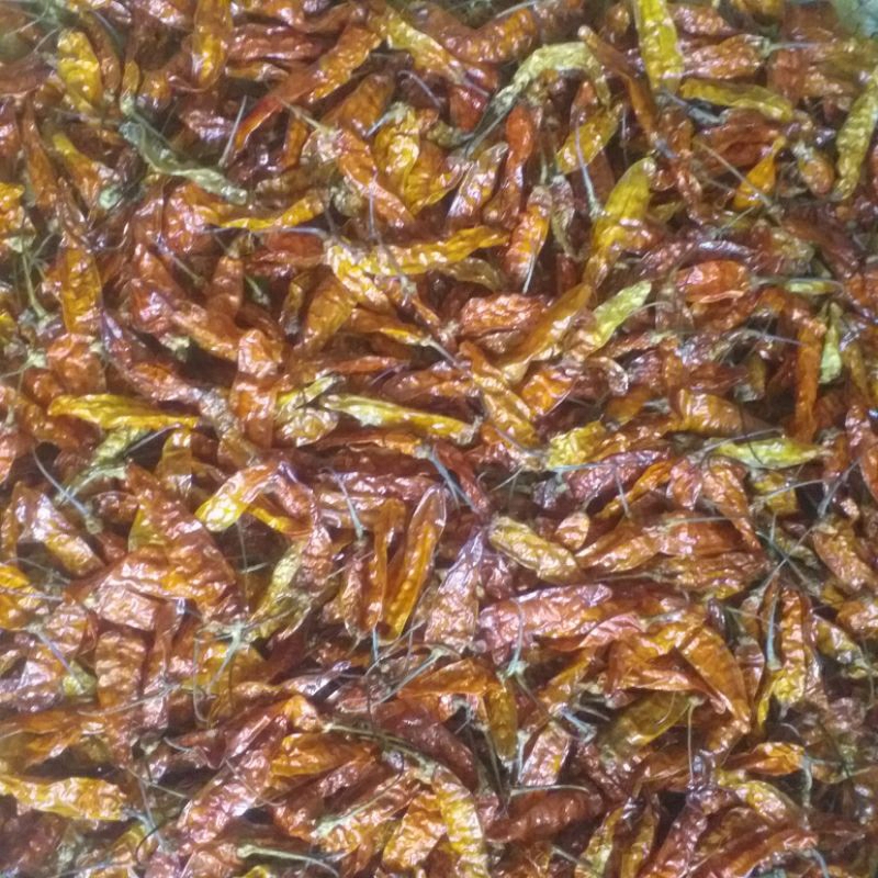 

Cabe Setan Super Pedes Kering 100 gram