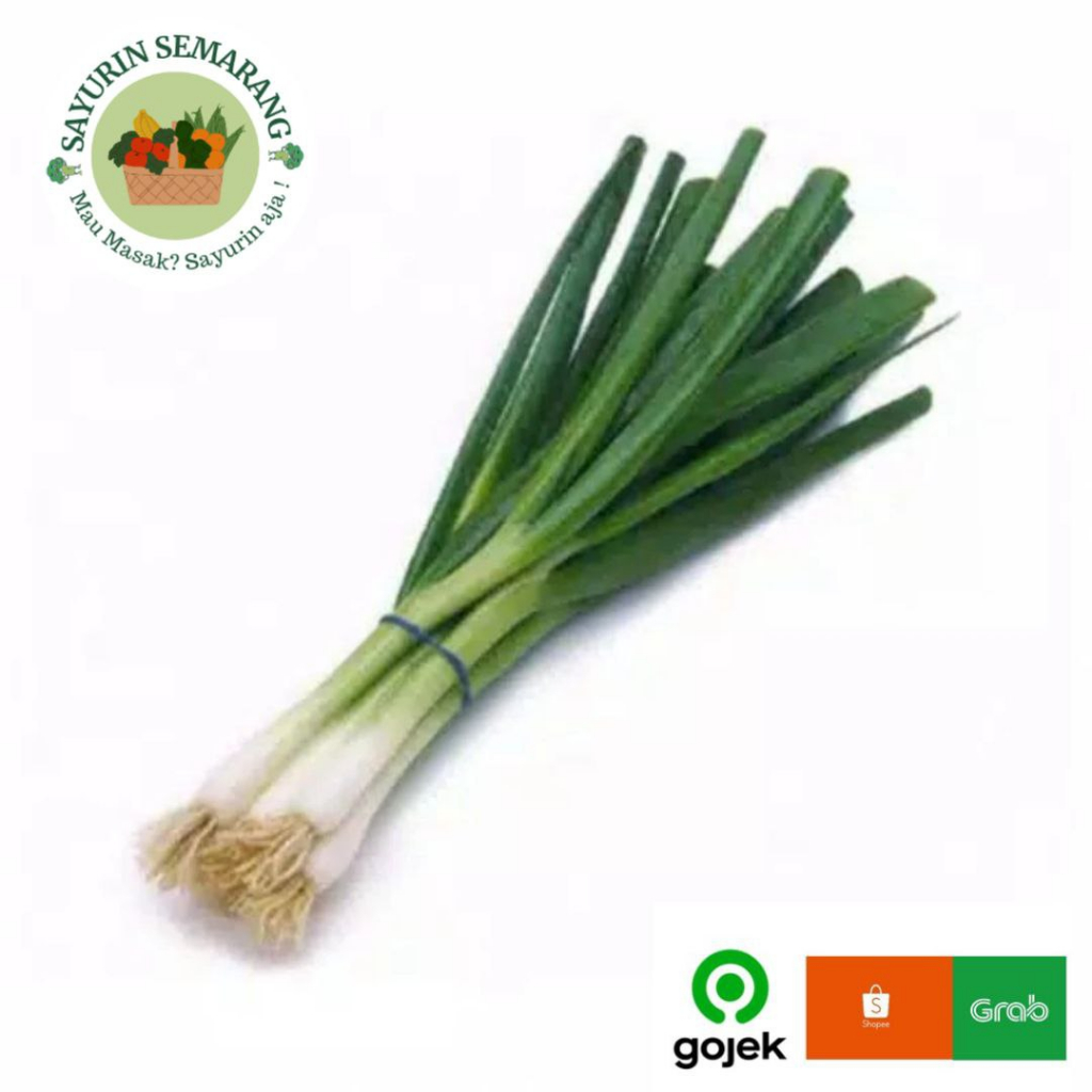 

daun bawang 250gr