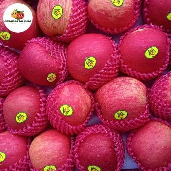 Apel Fuji Rosy Blush 1kg