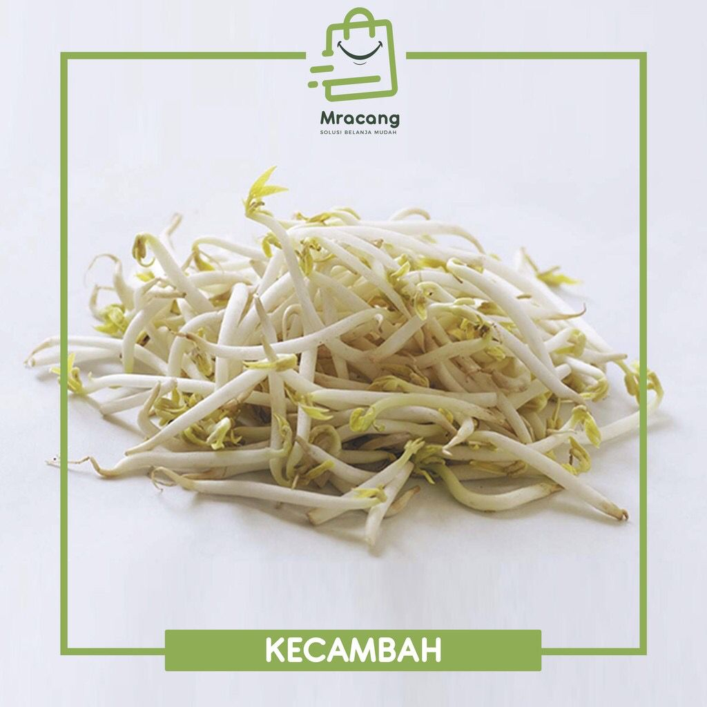 

Sayuran Kecambah Fresh 50 gram