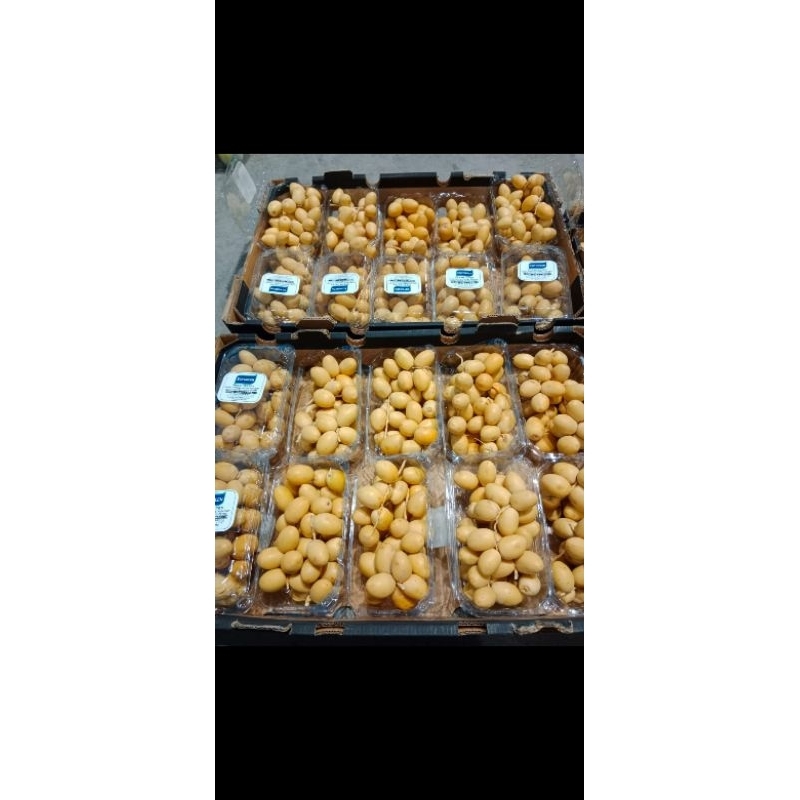 

Kurma muda / kurma kuning / kurma promil