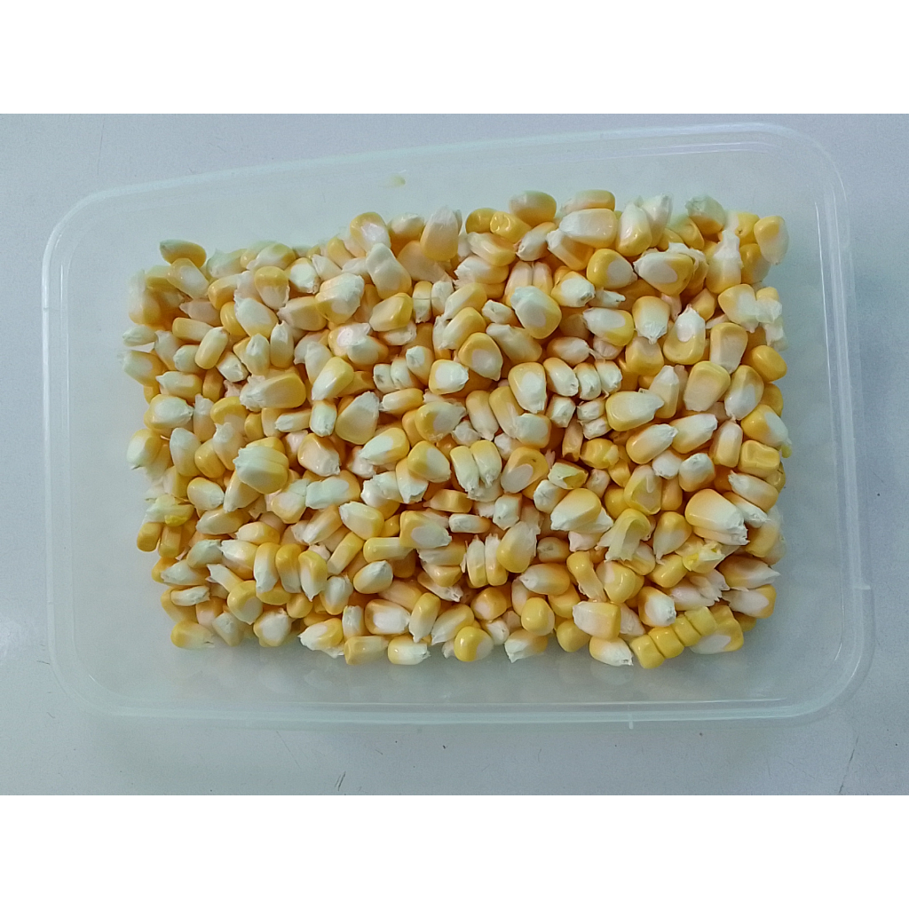 

sayur potong simple