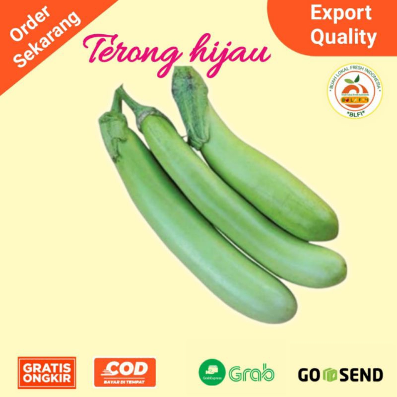 

SAYURAN TERONG HIJAU FRESH