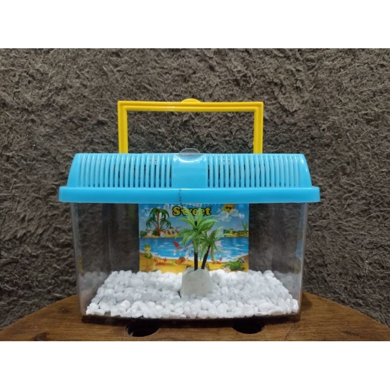 Pethome besar 18x10x13cm aquarium ikan hias Cupang / wadah kura-kura / rumah hamster / tempat hewan 