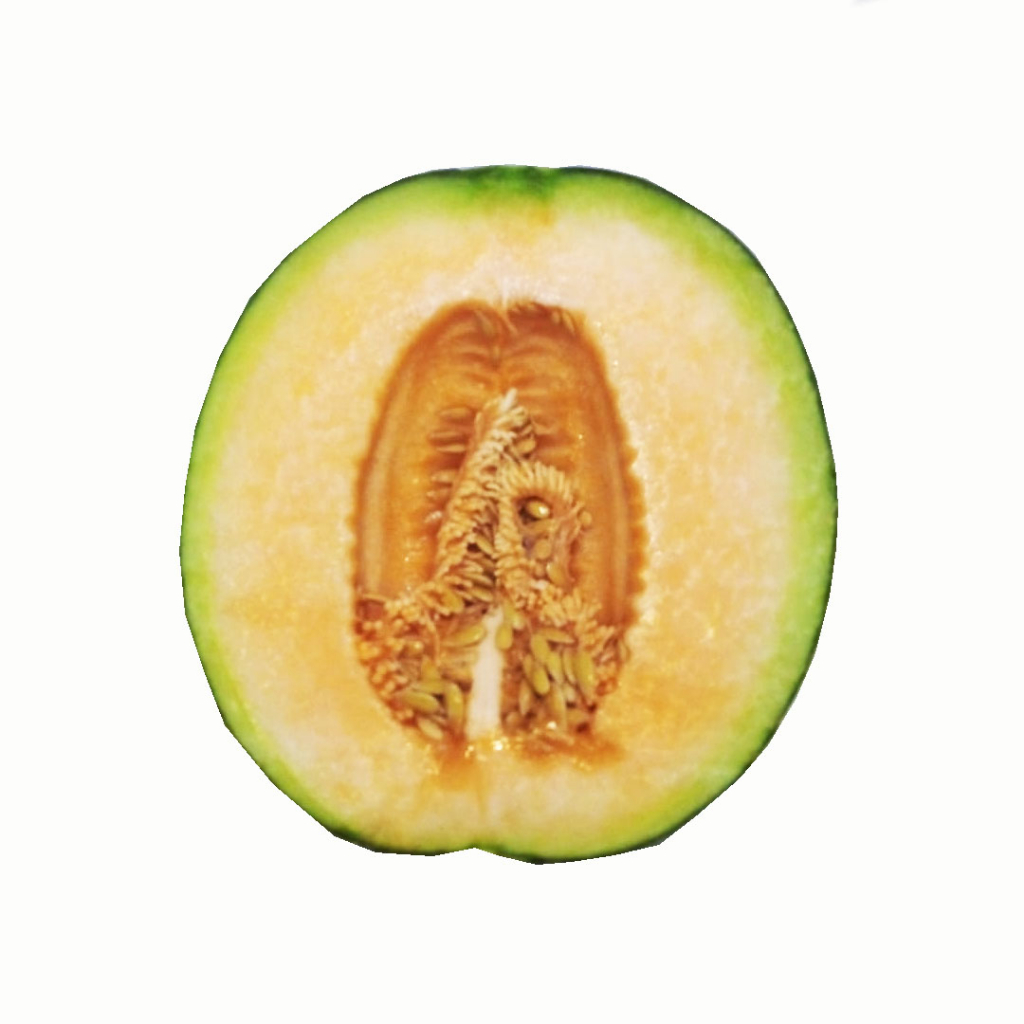 

ROCK MELON SAKATA (PCS) +/- 1.5kg (3165)