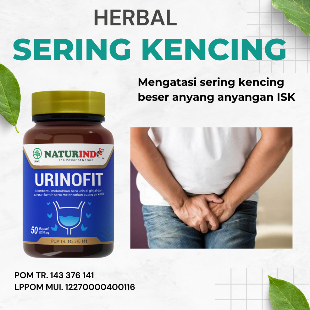 Obat Sering Kencing Buang Air Kecil Kencing Terus Menerus Beser Wanita Pria