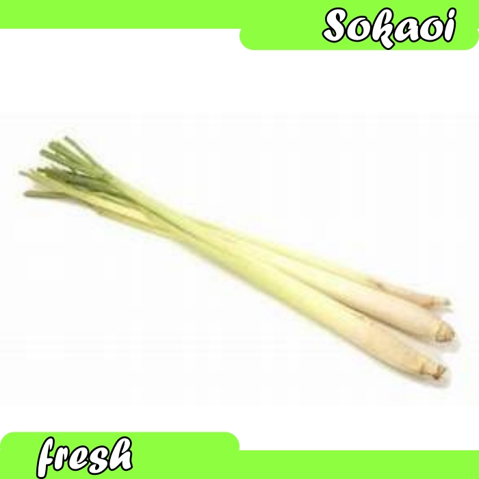 

DAUN SEREH LEMON GRASS DAUN SEREH SEGAR DAUN SEREH FRESH