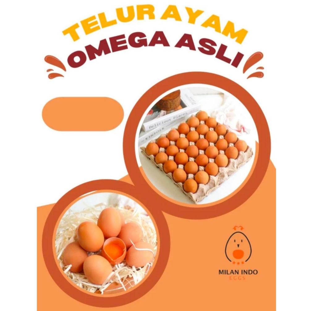 

Telur Ayam Omega 3 Asli Segar Grade A Premium 30 butir (1 tray)