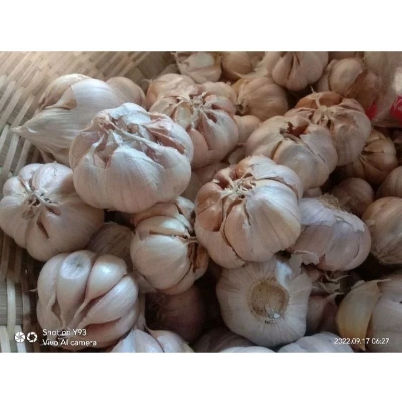 

bawang putih Kating 1/2 kg