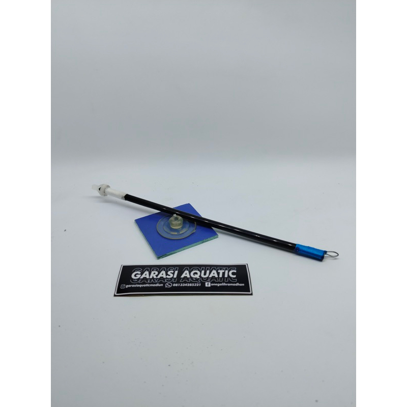 KACA MENTAL CHANNA ATAU CUPANG