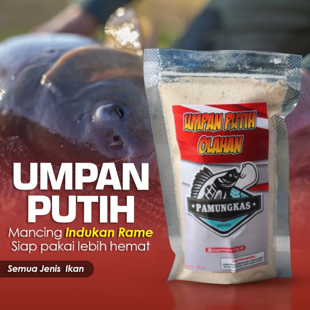 ( UMPAN KAWALU TERBAIK ) Umpan Putih Olahan Ikan Bandeng Tambak dan Liar Paling Ampuh