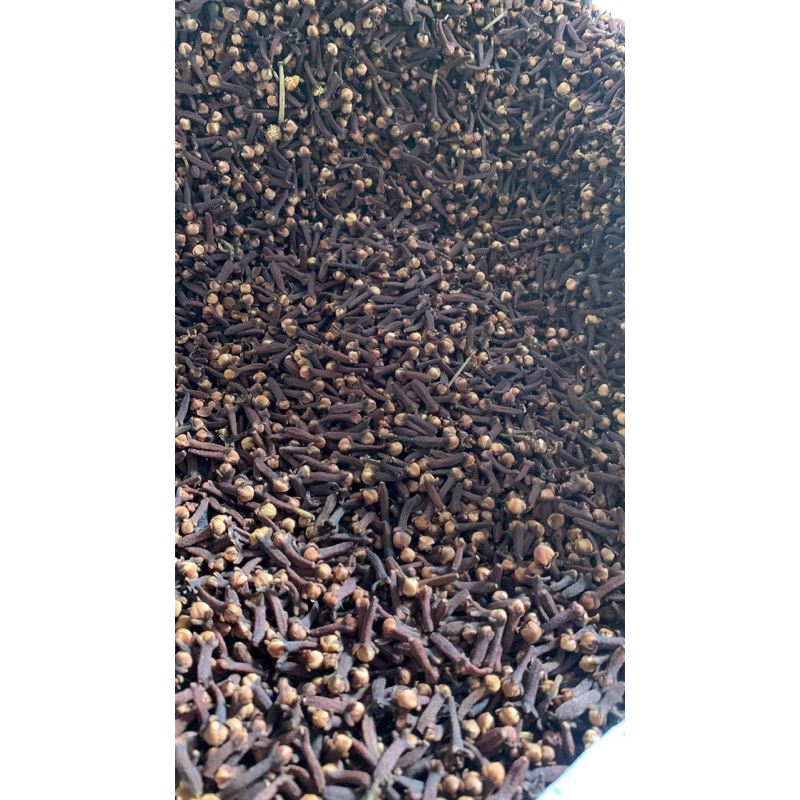 

Cengkeh Kering 10kg Harga grosir murah