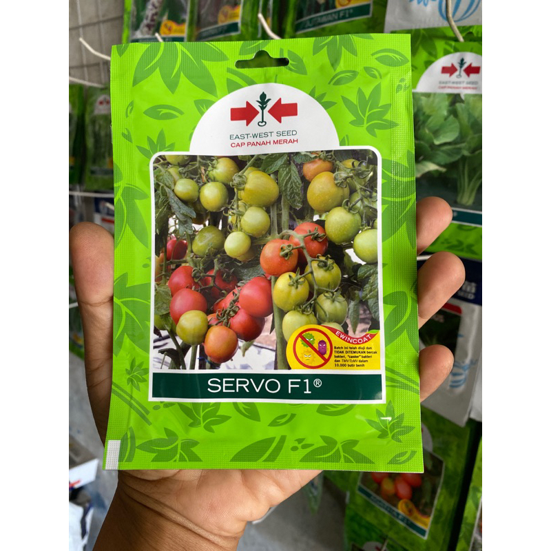 Benih tomat tahan virus Servo f1 isi 150 biji
