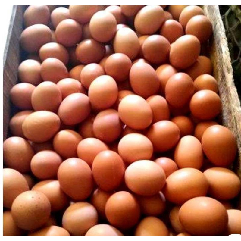 

telor ayam negri fresh 1 kg / 1000 gram telur ayam