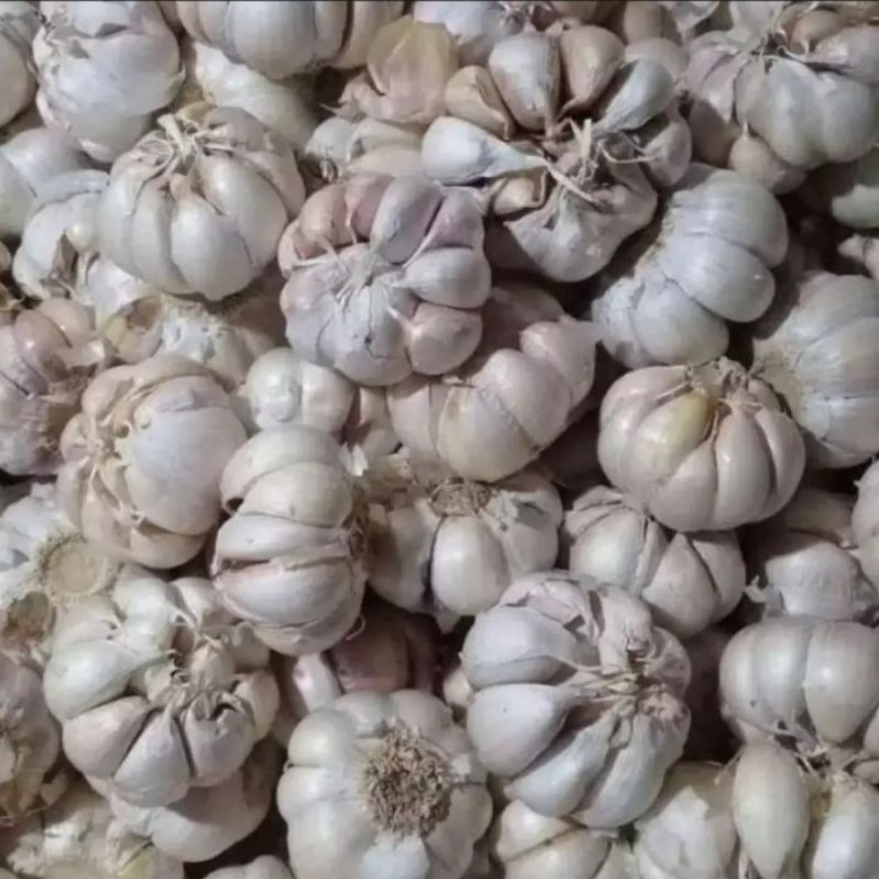 bawang putih 1 kg / bawang putih murah