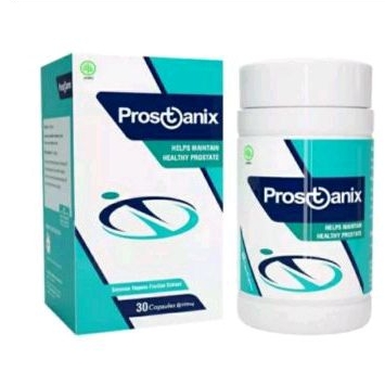 Prostanix Asli Original Obat Herbal Prostat Resmi BPOM
