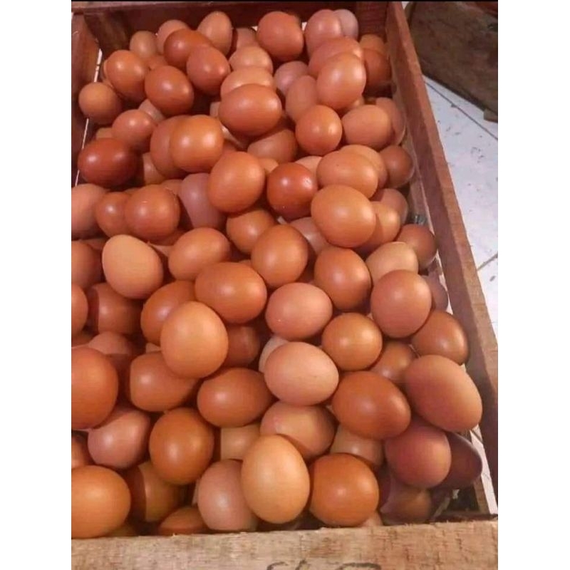 

TELUR FRESH 1KG