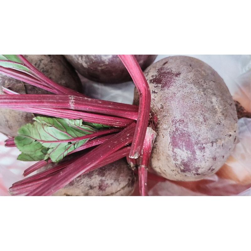 

Buah bit 1 kg