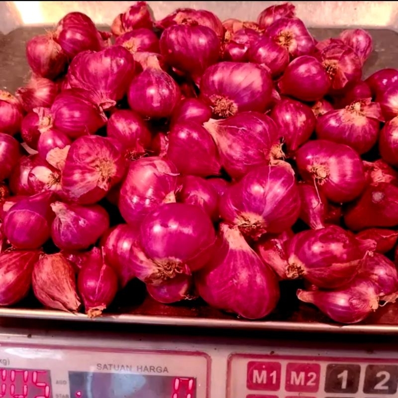 

Bawang Merah Premium