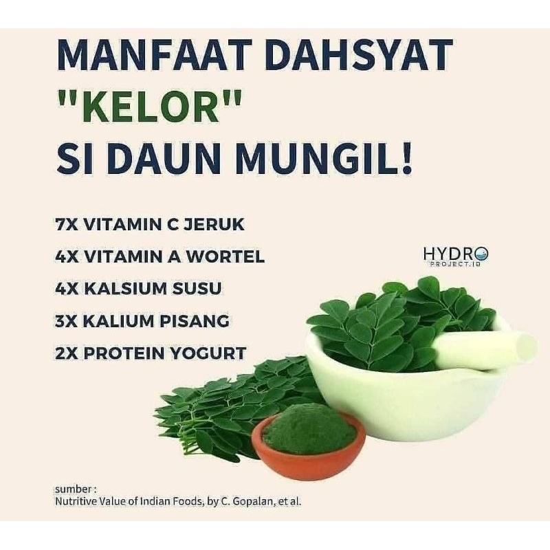 

bubuk daun kelor