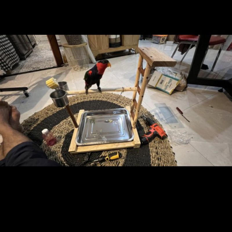 Tangkringan burung nuri kandang burung nuri