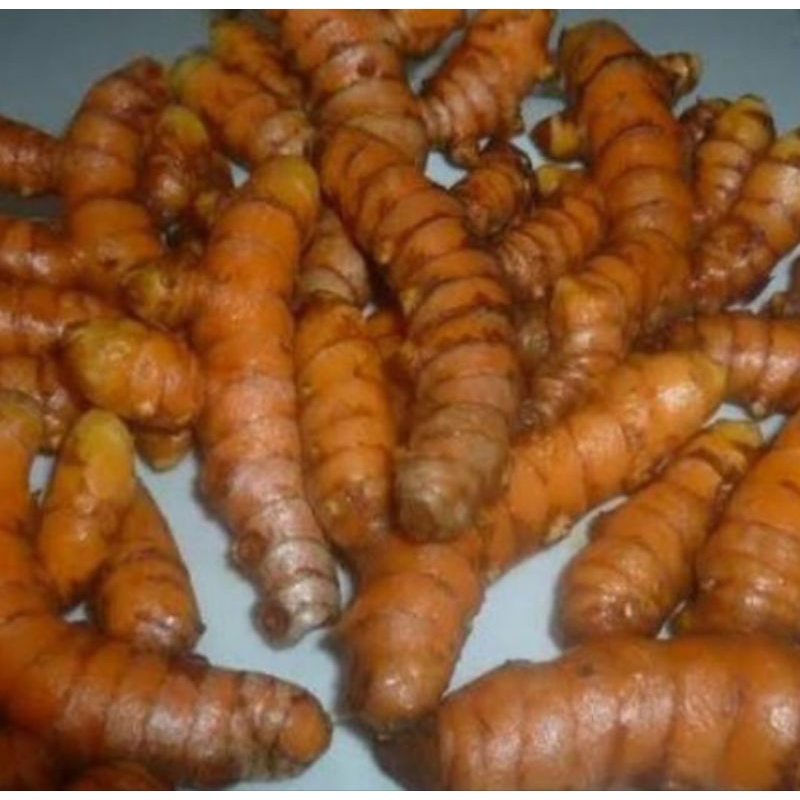 

Kunyit segar kunir organik mbok ten 1kg