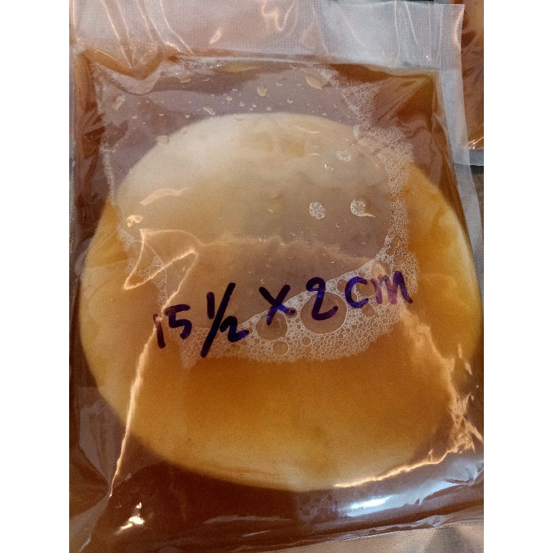 

scoby kombucha diameter 15cm tebal 2 cm