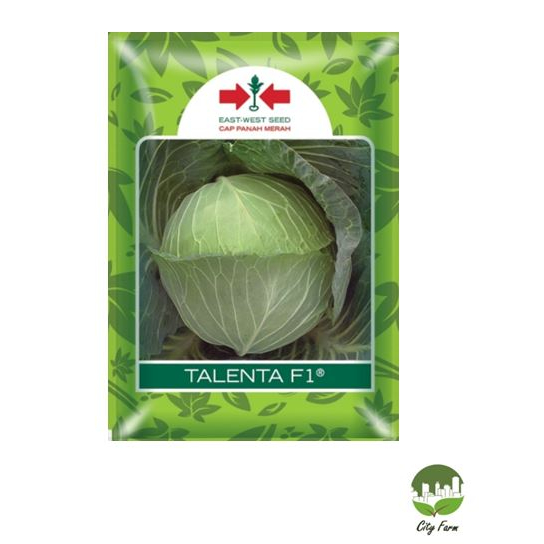 BENIH KUBIS TALENTA SP (400 BUTIR) PANAH MERAH