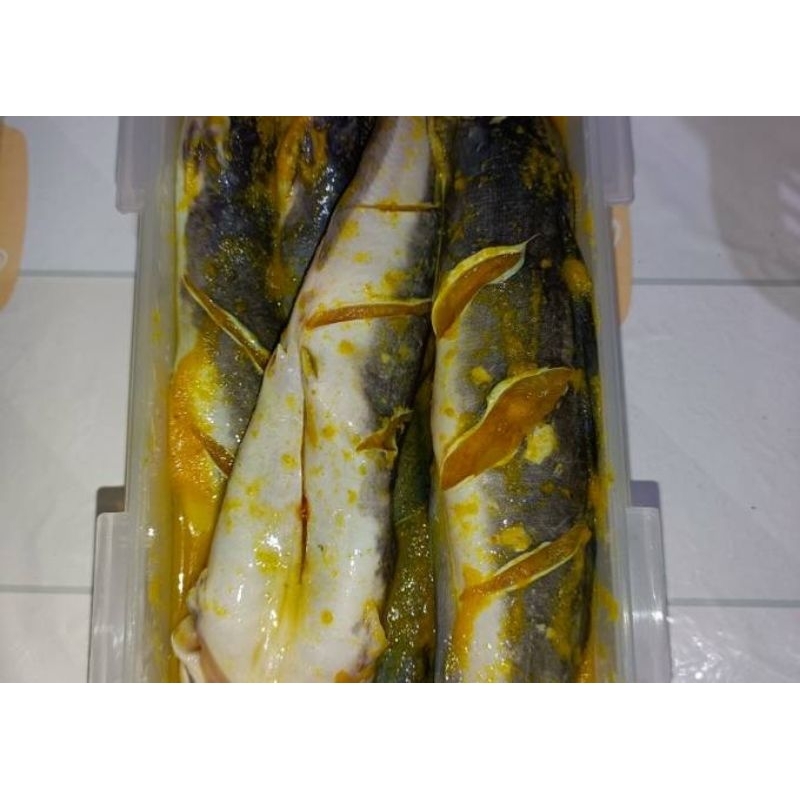 

LELE BUMBU UNGKEP 1Kg