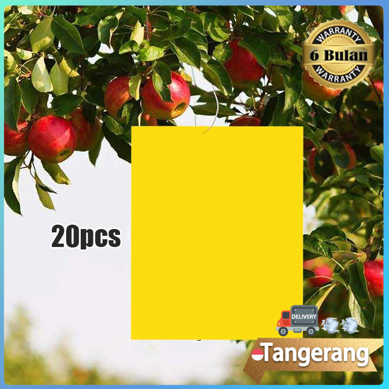 20pcs/Bag Yellow Trap Perangkap Hama Lem Perekat Lalat Buah Likat Kuning