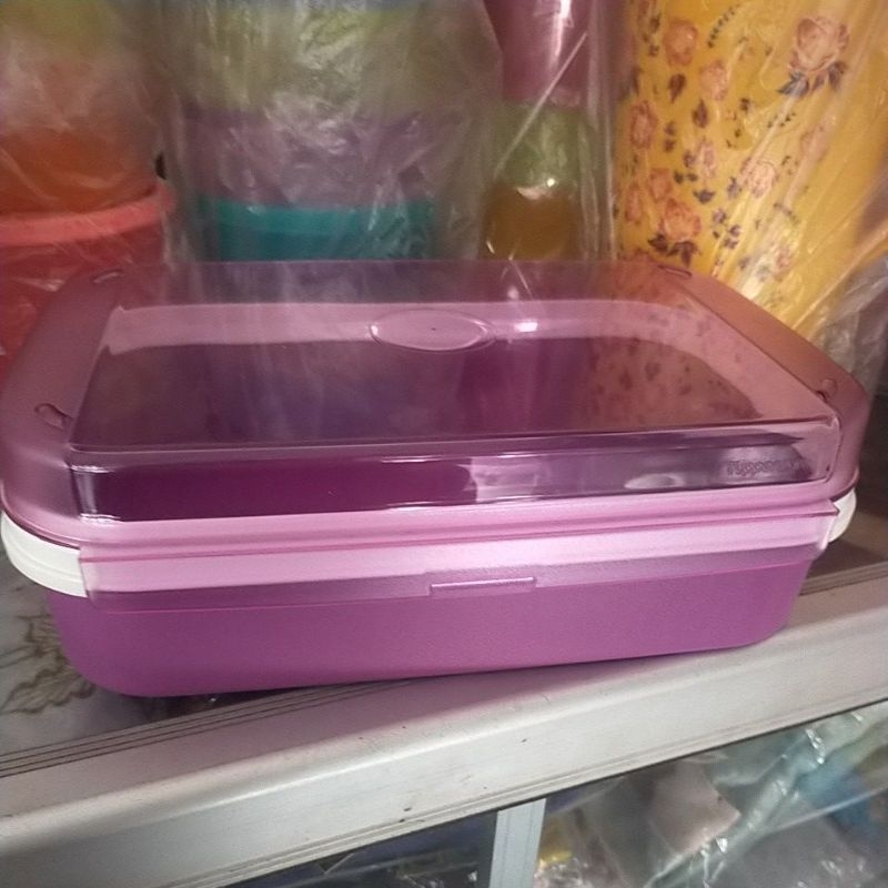 Signature Rectangular Tupperware