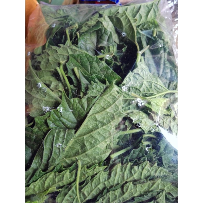 

DAUN KEJI BELING SEGAR 250 GRAM / DAUN PECAH BELING