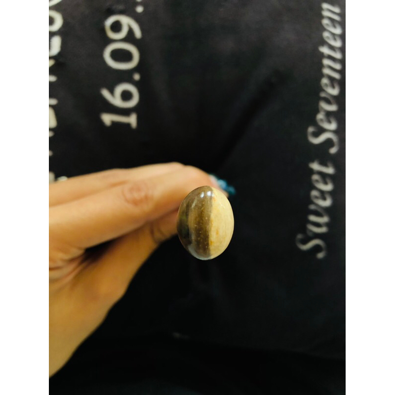 Batu Fosil Kelor Hitam Putih Natural