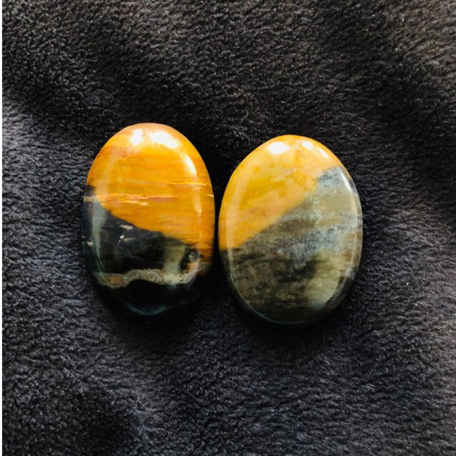 Batu Fosil Kelor Hitam Coklat Besar