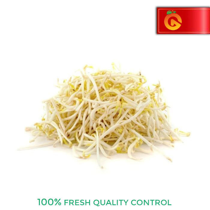 

SAYUR TOGE FRESH 250 GRAM