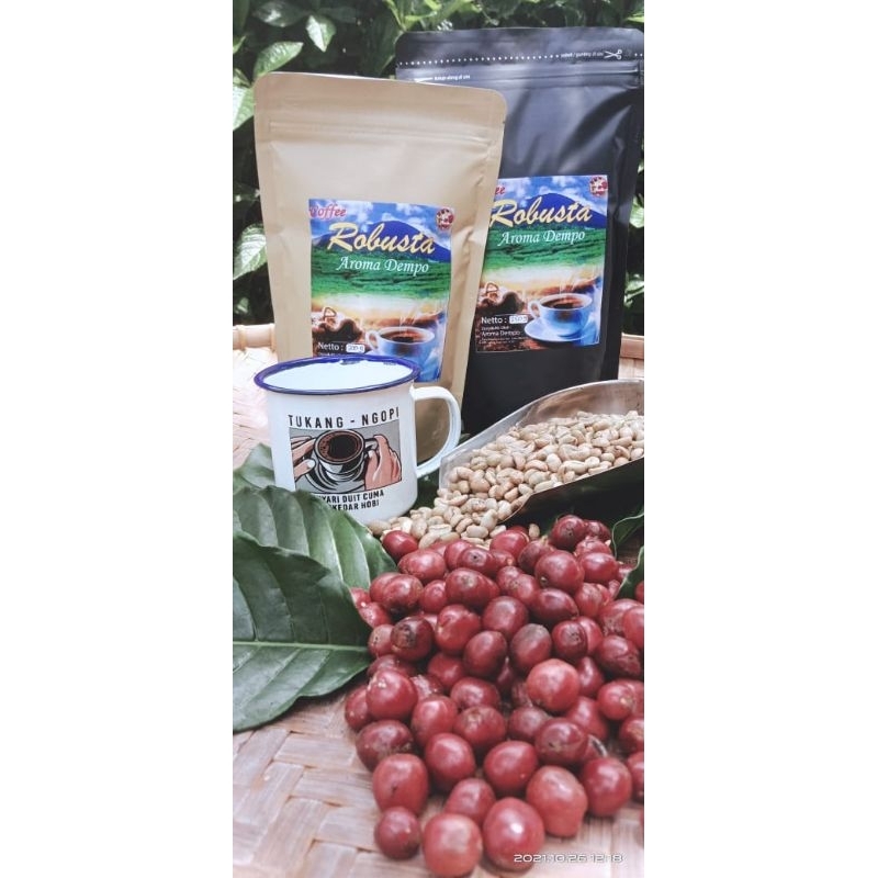 

kopi biji robusata pagar alam