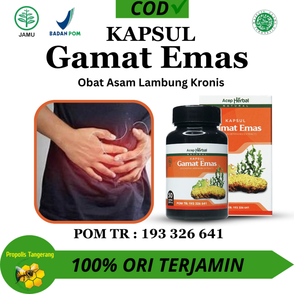 Kapsul Gamat Emas 100% Original - Obat Asam Lambung,Asam Lambung,Maag,Sakit Perut Dll