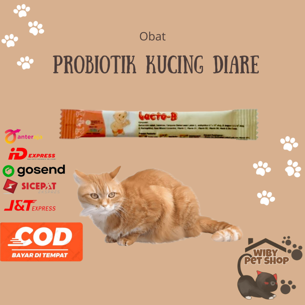 Obat diare kucing kitten dan adult LactoB (1 sachet)